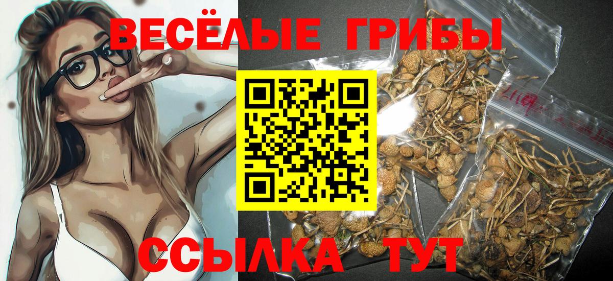 Псилоцибиновые грибы Magic Shrooms Ростов Великий